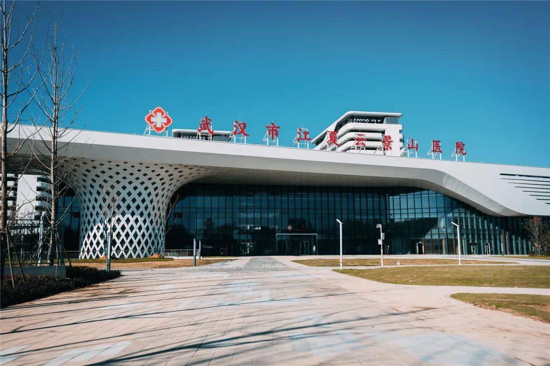 Wuhan Yunjingshan Hospital