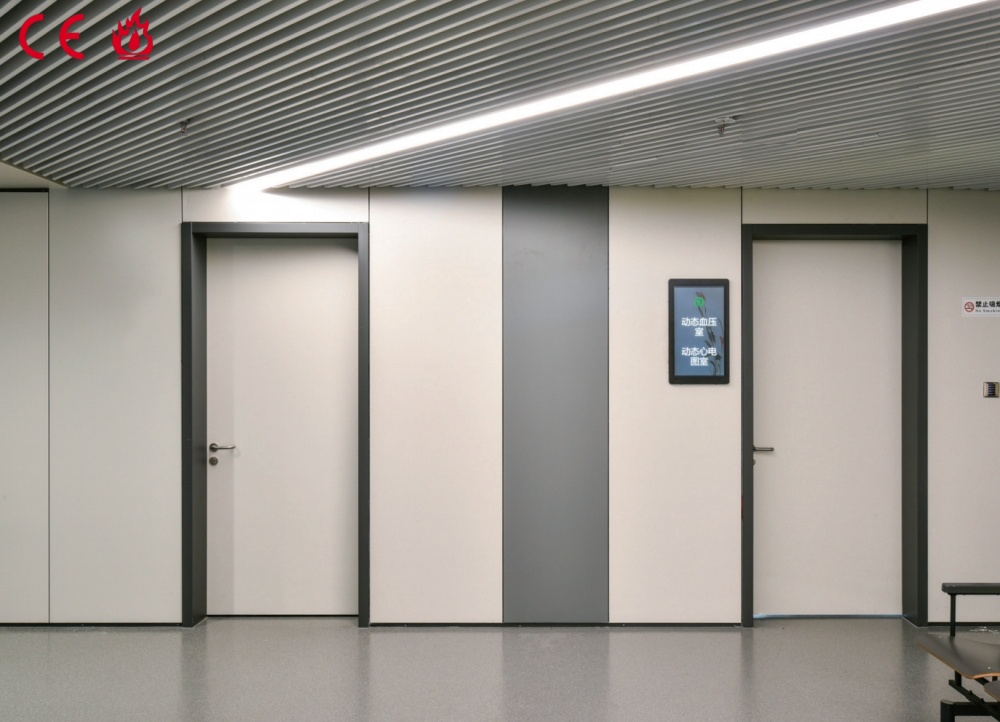 Consult Room Doors